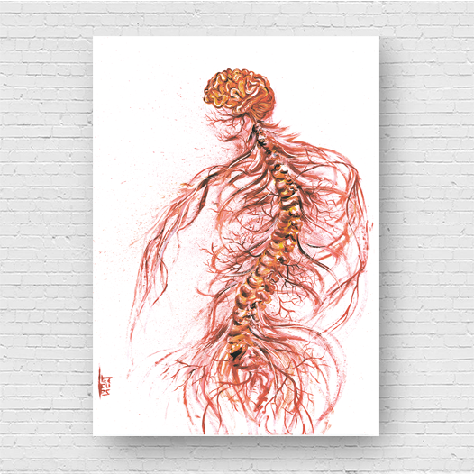 Quadro pôster anatomia: Sistema Nervoso com coluna