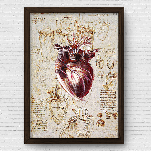 Marco cartel anatomía corazón fondo bosquejo Leonardo Da Vinci 