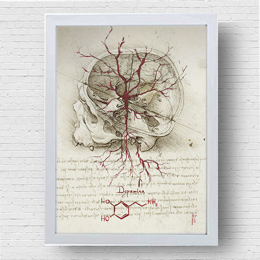 Quadro pôster anatomia Coleção Leonardo Da Vinci: Neurotransmissor dopamina com fórmula molecular