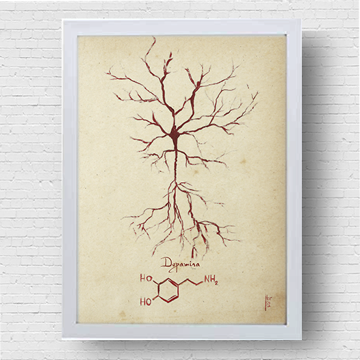 Quadro pôster anatomia: Neurotransmissor dopamina com fórmula molecular