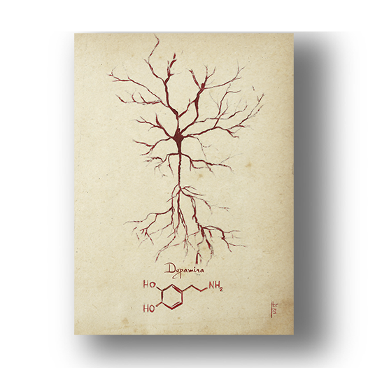 Quadro pôster anatomia: Neurotransmissor dopamina com fórmula molecular