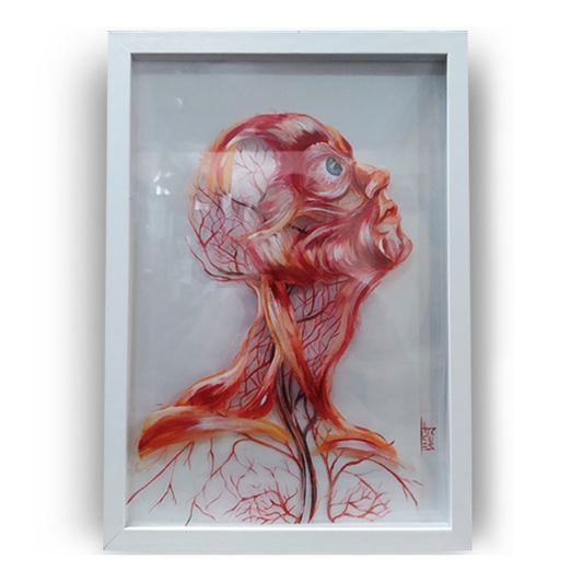 Quadro Anatomia: Pintura original rosto com vasos sanguíneos