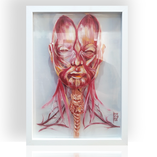 Quadro Anatomia: Pintura original Anatomia muscular da face com tireoide Página de livro ao fundo (cópia)