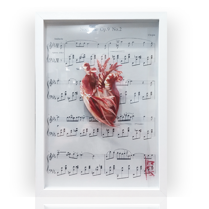 Pintura decorativa Anatomía – Corazón-cardiología | Partitura musical del Nocturno Op. 9 No. 2 de Chopin™ 