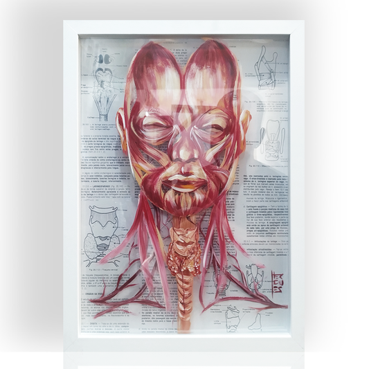 Quadro Anatomia: Pintura original Anatomia muscular da face com tireoide Página de livro ao fundo