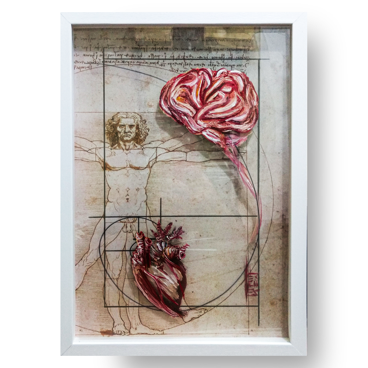 Quadro Decorativo Anatomia – Emoção e Razão-neurologia-psicologia | Sequência de Fibonacci | Coleção Leonardo Da Vinci™