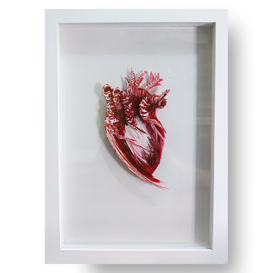 Quadro Anatomia: Pintura original Coração Fundo Branco