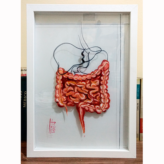 Pintura Anatomia: Intestino delgado e grosso