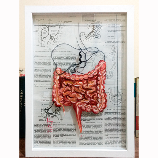 Pintura Anatomia: Intestino delgado e grosso Páginas de livro ao fundo