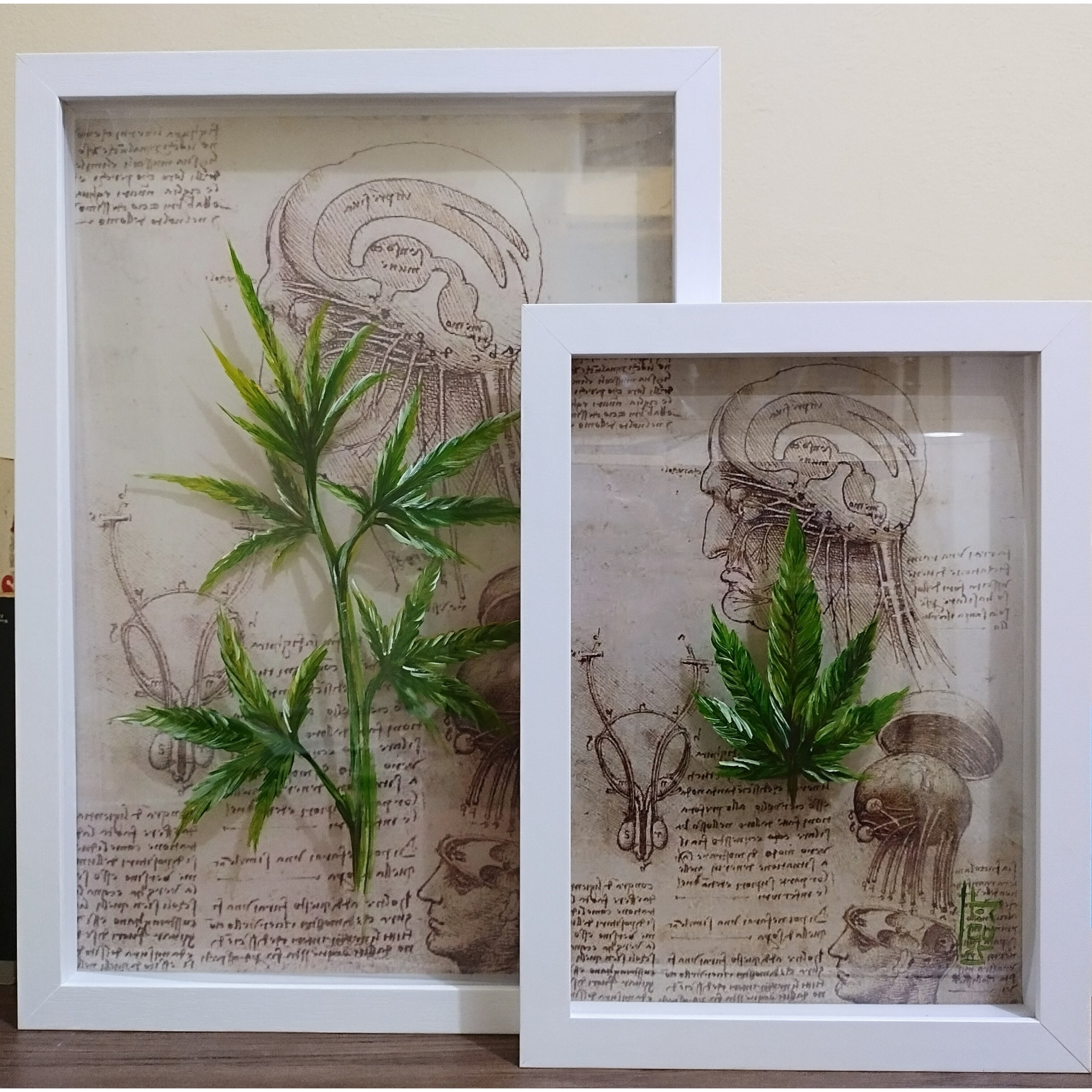 Impresión de lienzo de anatomía: Pintura original Cannabis (THCV y cannabidiol)