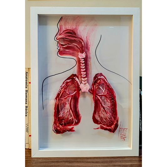 Pintura Anatomia: Sistema respiratório