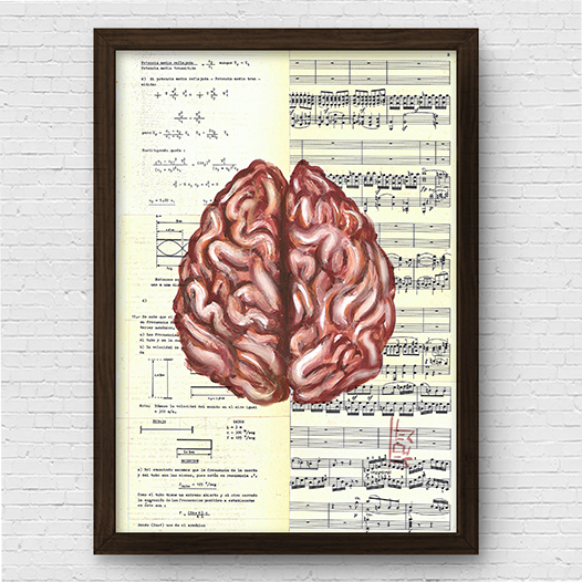 Quadro Decorativo  Pôster Anatomia Neurologia e psicologia– Cérebro e Seus Dois Hemisférios™