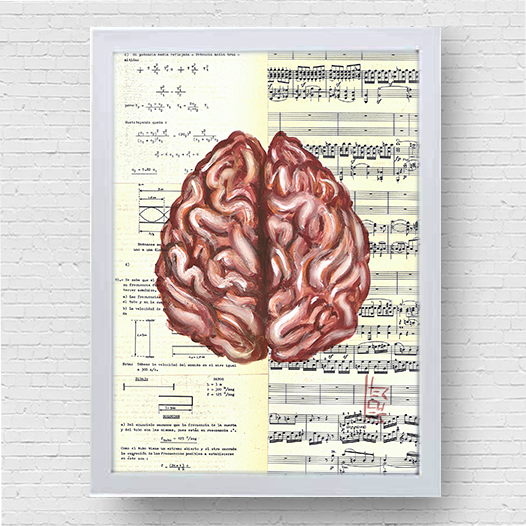 Quadro Decorativo  Pôster Anatomia Neurologia e psicologia– Cérebro e Seus Dois Hemisférios™