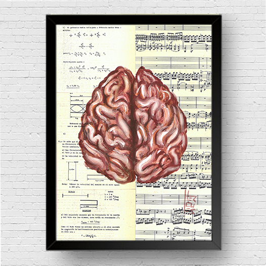 Quadro Decorativo  Pôster Anatomia Neurologia e psicologia– Cérebro e Seus Dois Hemisférios™