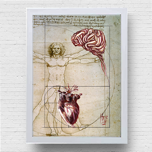 Quadro Pôster anatomia: Emoção e Razão sequência de Fibonacci coleção Leonardo Da Vinci