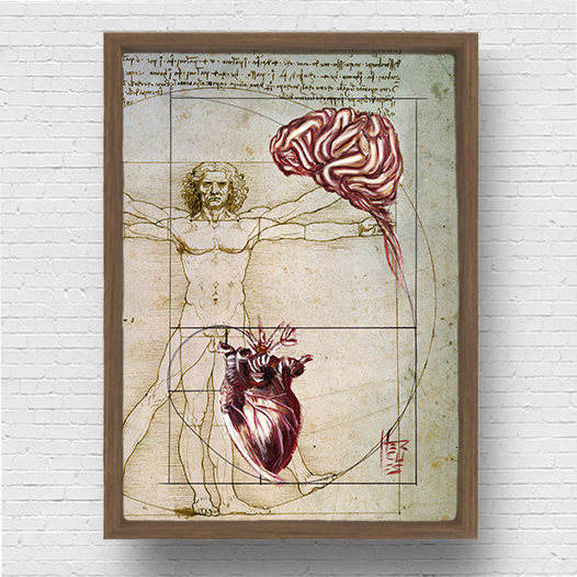 Quadro Pôster anatomia: Emoção e Razão sequência de Fibonacci coleção Leonardo Da Vinci