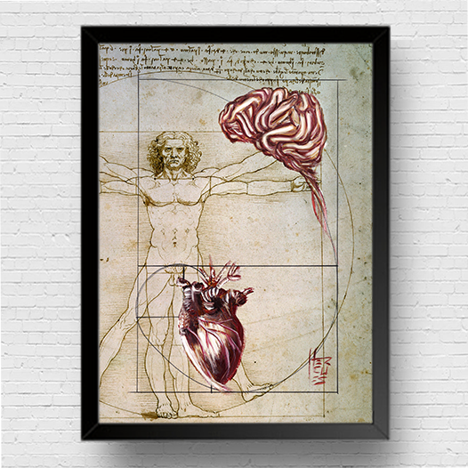 Quadro Pôster anatomia: Emoção e Razão sequência de Fibonacci coleção Leonardo Da Vinci