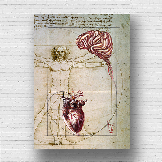 Quadro Pôster anatomia: Emoção e Razão sequência de Fibonacci coleção Leonardo Da Vinci