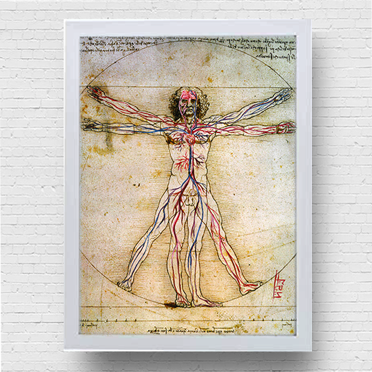 Quadro pôster anatomia Homem vitruviano com sistema circulatório Leonardo da Vinci