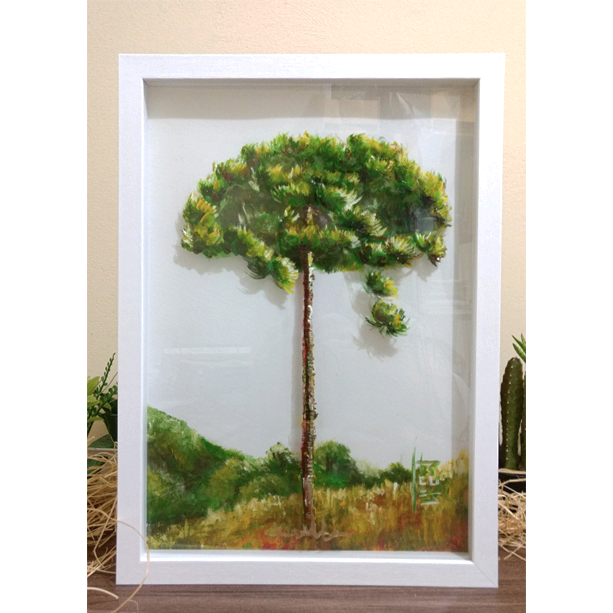 Quadro Pintura Botânica: Araucária