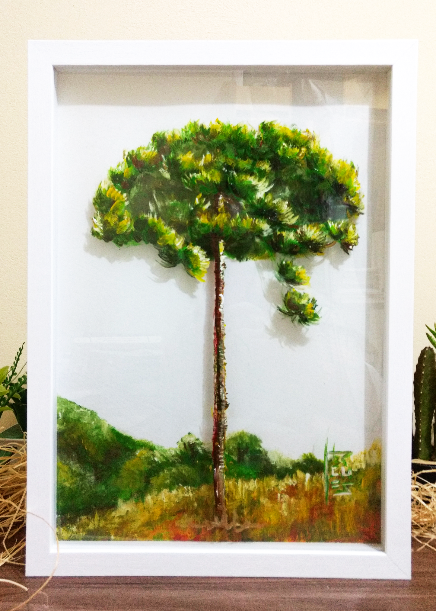 Quadro Pintura Botânica: Araucária