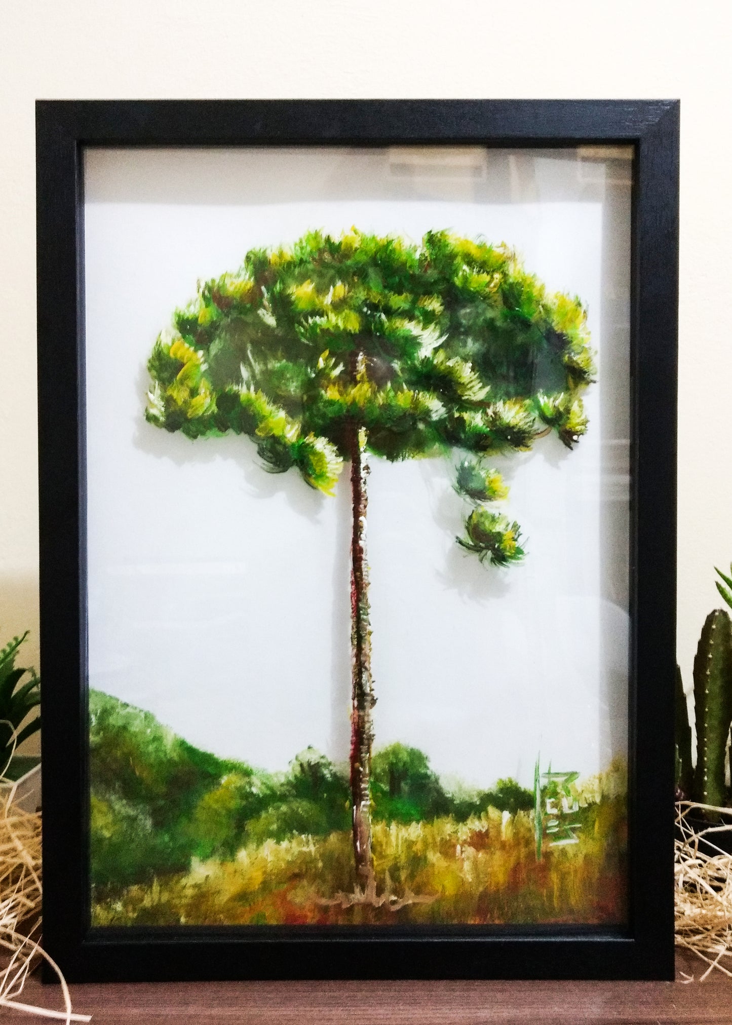 Quadro Pintura Botânica: Araucária