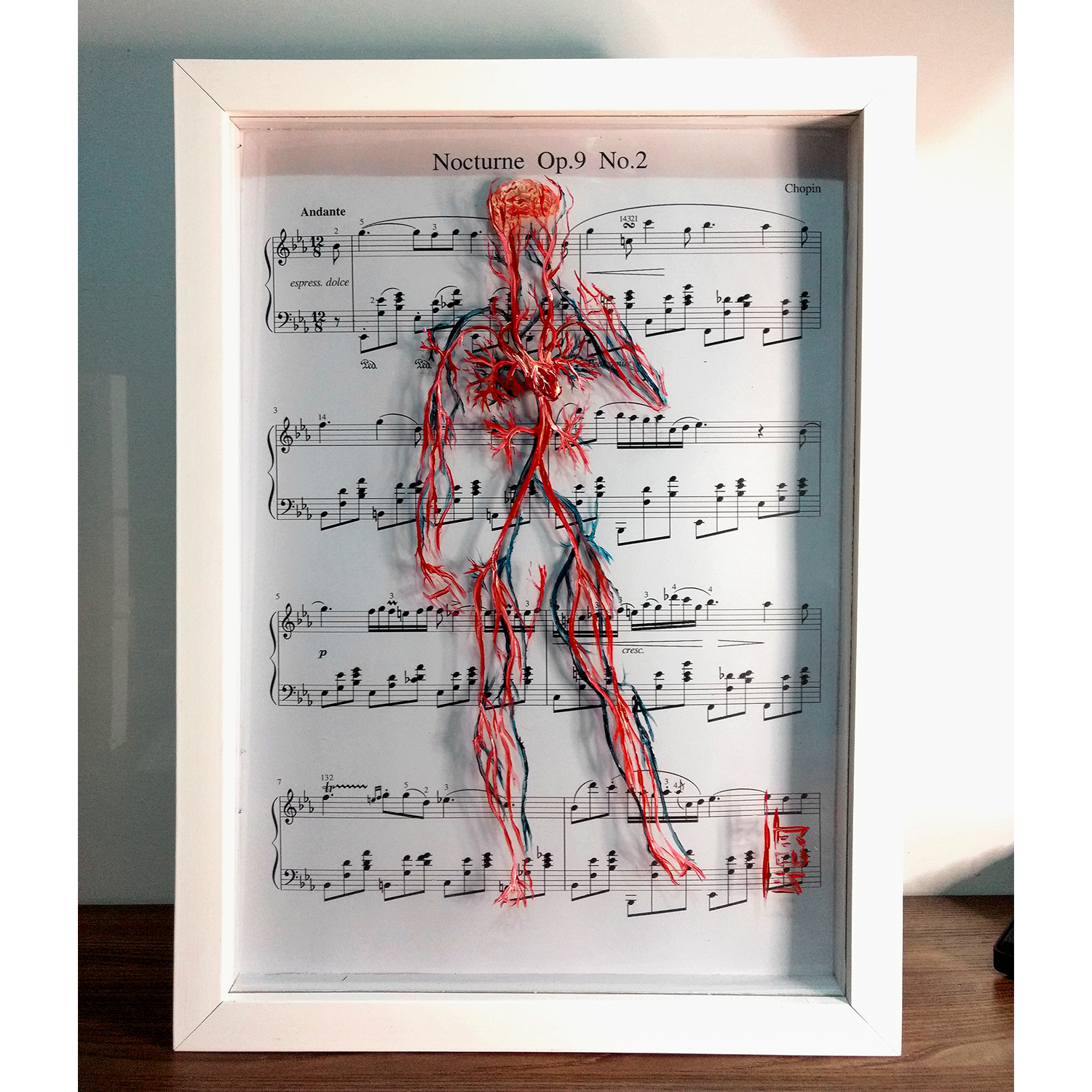 Marco decorativo Anatomía – Sistema vascular-cardiología por David | Partitura de Chopin™